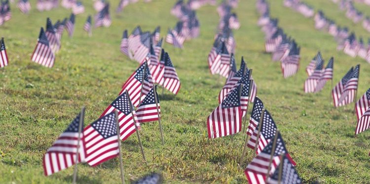U.S. flags lined up in green grass